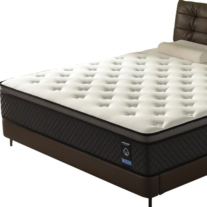 10" Queen Foam Medium Hybrid Mattress