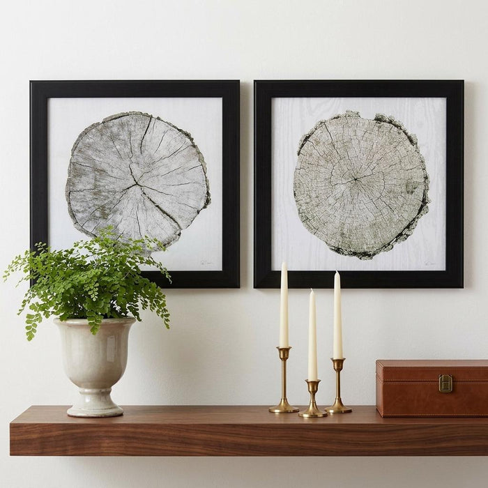 14" X 14" Dark Wood Toned Frame Woodland Years (Set Of 2)