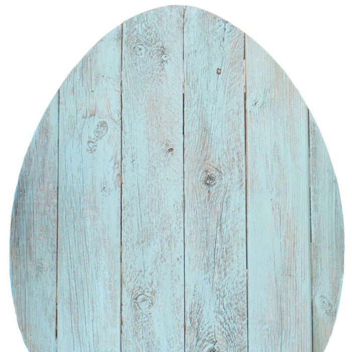 18" X 14" Turquoise Reclaimed Wood Egg Shaped Wall Decor