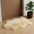 2' X 3' Beige Shag Area Rug