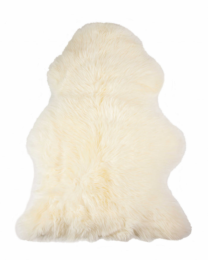 2' X 3' Ivory Shag Area Rug