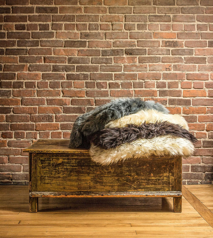 2' X 3' Ivory Shag Area Rug