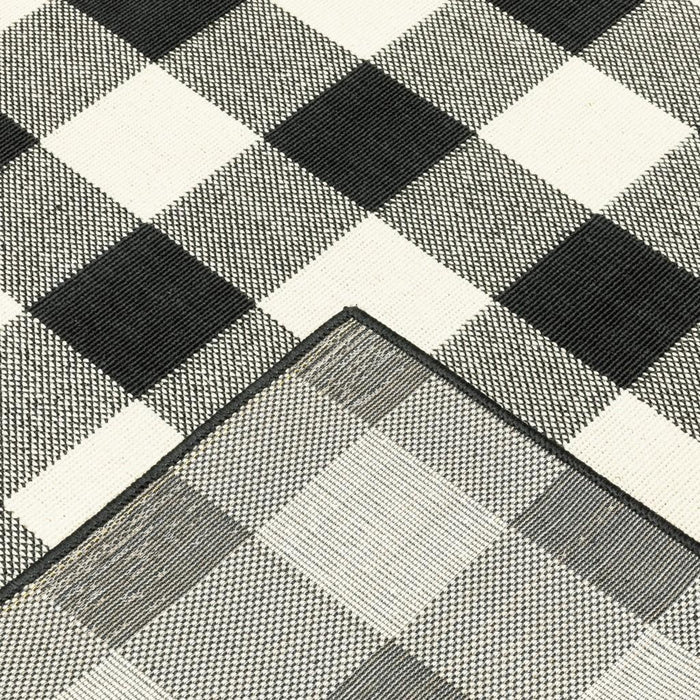 2' X 4' Black And Ivory Indoor Outdoor Area Rug