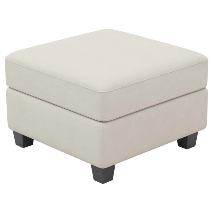 25" Beige And Black Velvet Ottoman With Storage