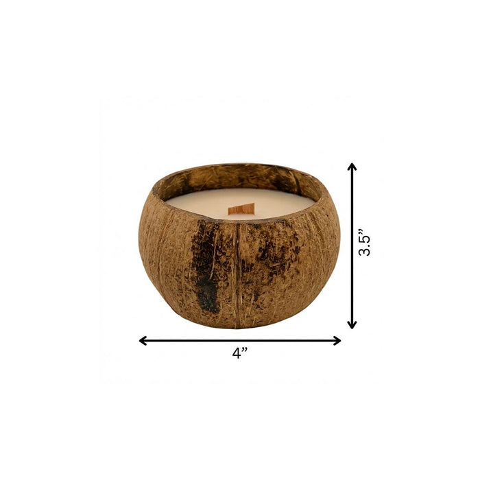 4" Ivory Orchid And Sea Salt Scented Candle In Brown Coconut Shell Holder