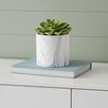 5" White and Gray Marbleized Ceramic Indoor Outdoor Round Pot Planter