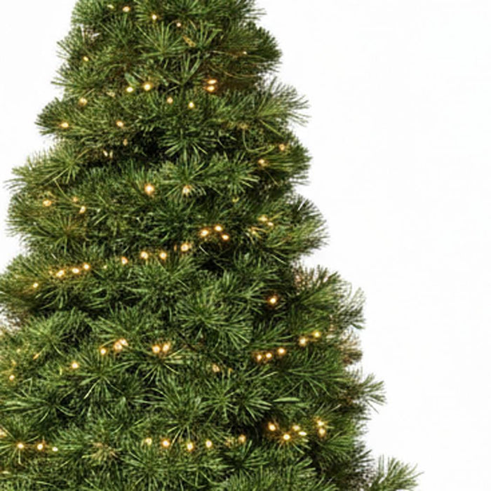 7.5' Pre Lit Full Spruce Christmas Tree