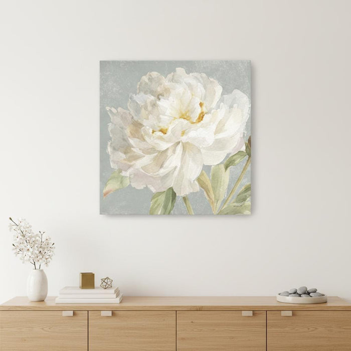 Angelic White Peony Flower Unframed Print Wall Art