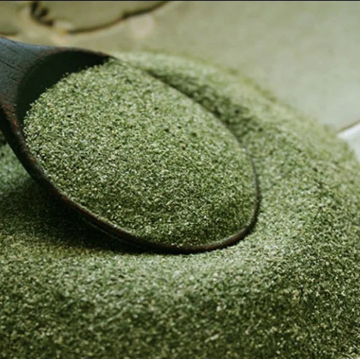 Close-up of green seaweed powder heaped on a wooden spoon