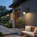 Black Seeded Dimmable Outdoor Hanging Light With Black Shades