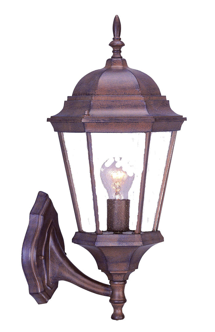 Dark Brown And Clear Beveled Dimmable Outdoor Hanging Light With Dark Brown And Clear Shades
