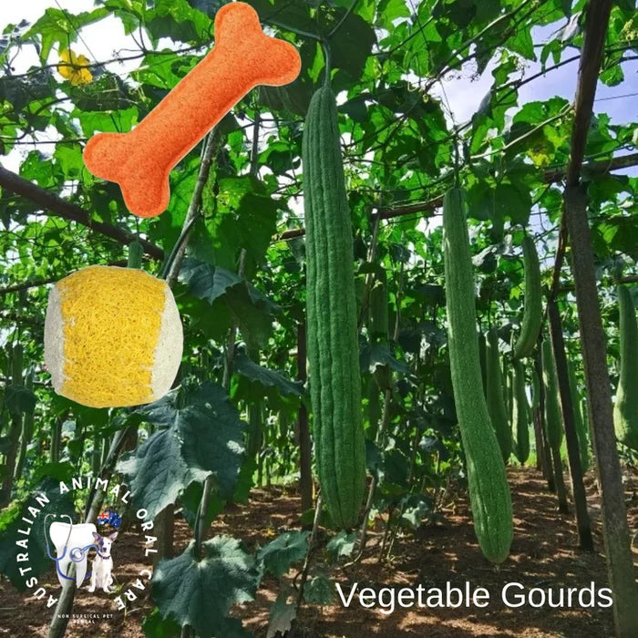 Orange loofah bone toy and yellow loofah ball toy overlaid on a photo of loofah gourds growing on vines