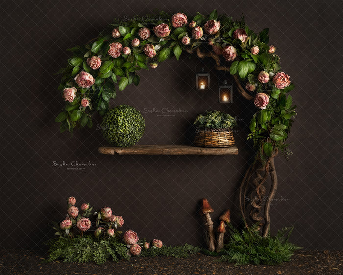 Digital Backdrop