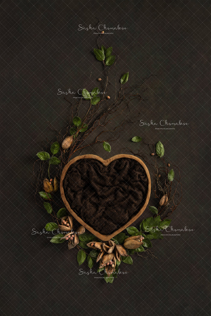 Digital Backdrop