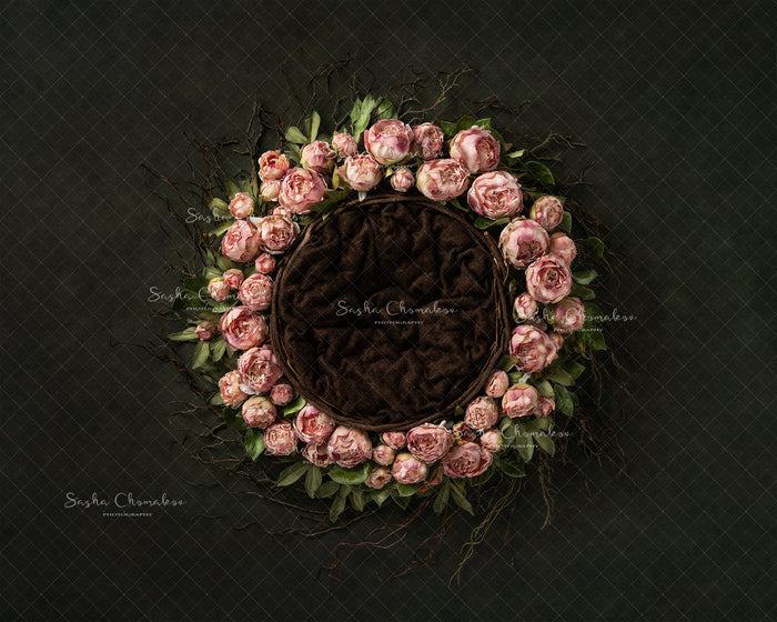 Digital Backdrop