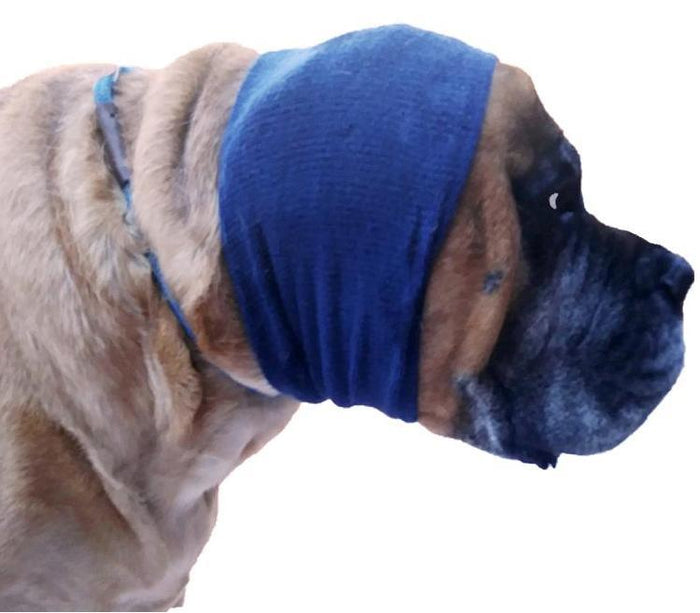 Large dog wearing a navy blue Happy Hoodie ear cover, side profile