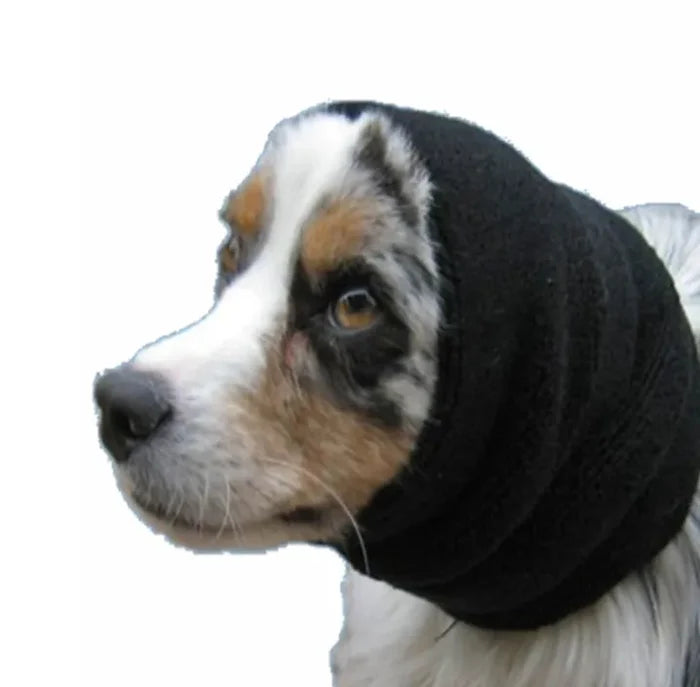 Dog wearing a black Happy Hoodie ear cover, close-up side profile