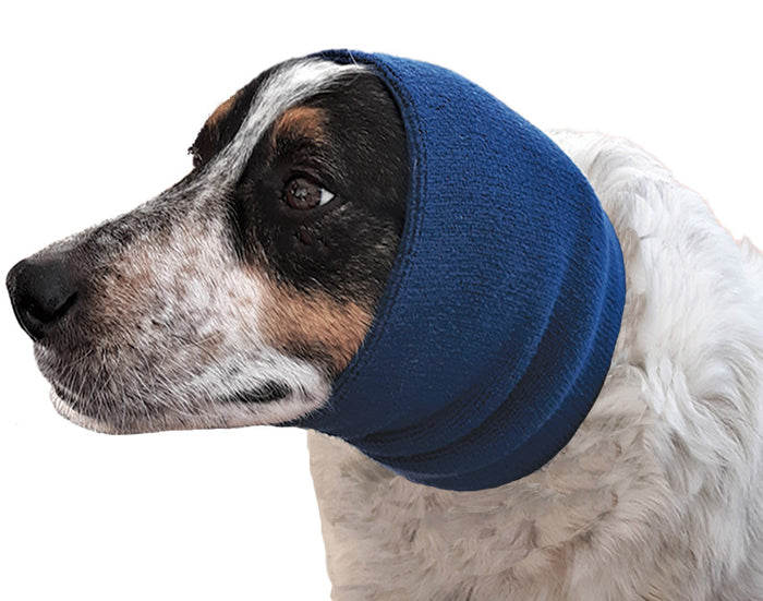 Dog wearing a navy blue Happy Hoodie ear cover against a white background