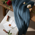 Double-layer knitted sheepskin blanket on the back