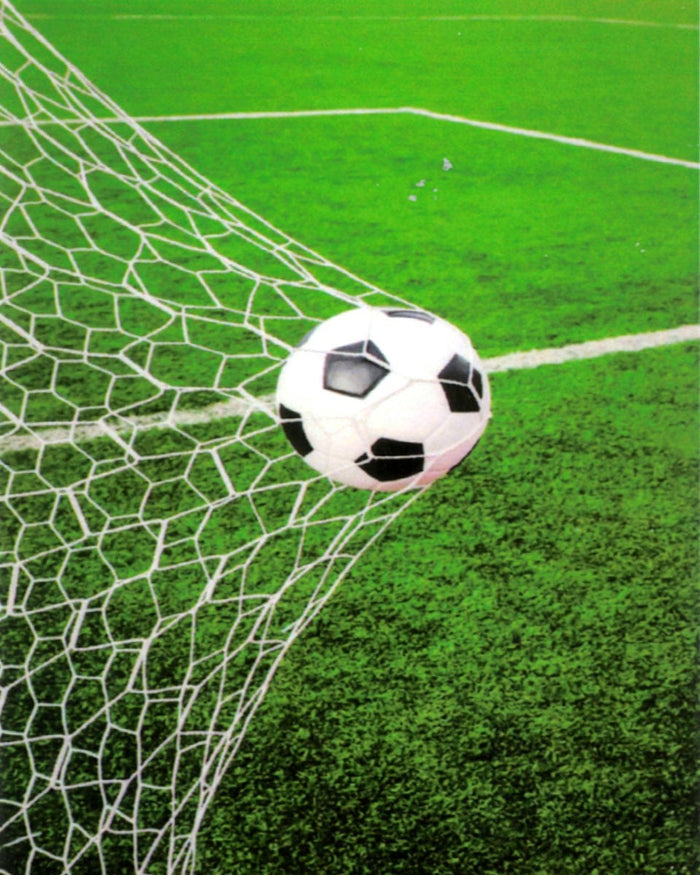 Παιδική Μοκέτα Goal σε 3 Διαστάσεις-120x160cm