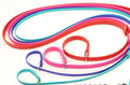 Assortment of coloured GroomTech Biothane slip leads in pink, red, blue, teal and purple