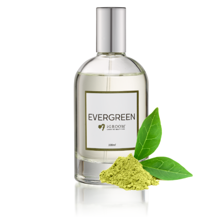 iGroom Evergreen perfume bottle with green leaves and green powder