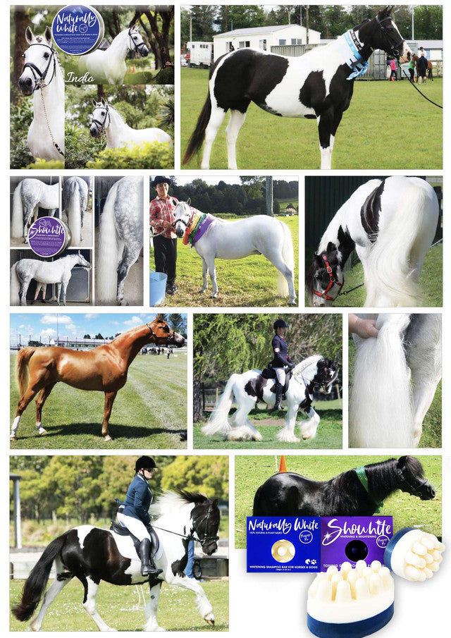 Photo collage of grey, piebald and chestnut show horses with Naturally White and Showhite products