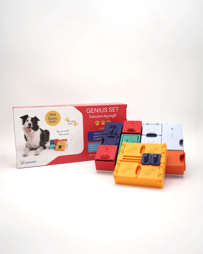 Pawzler Genius Set interactive dog puzzle pieces beside its red retail box featuring a border collie