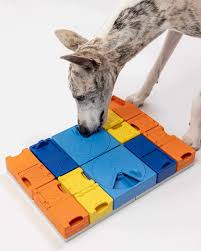 Dog sniffing for treats hidden in the assembled Pawzler Rainbow Set puzzle