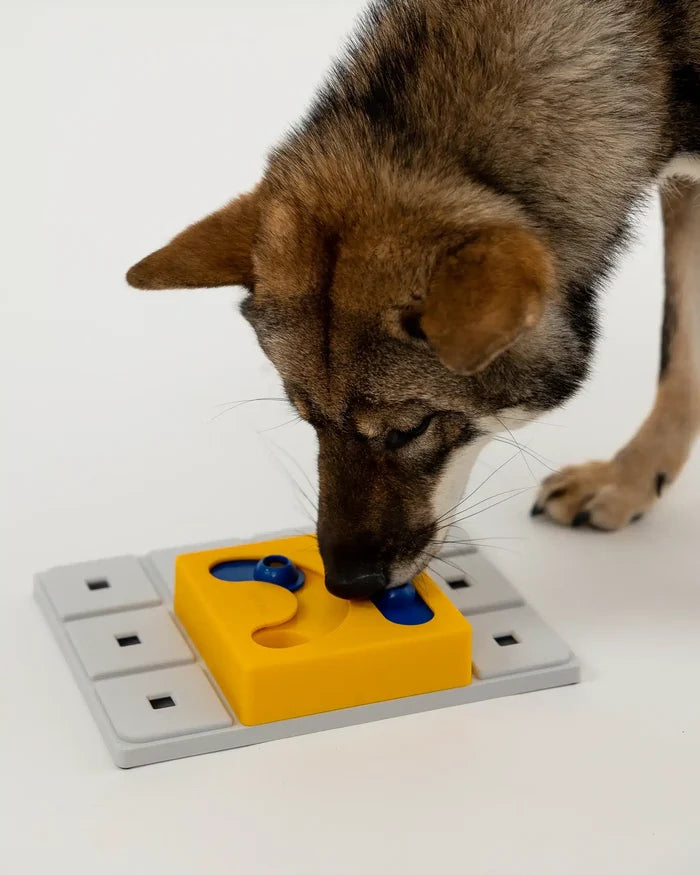 Dog nosing at treats in a yellow Pawzler Kaya puzzle piece mounted on a grey base