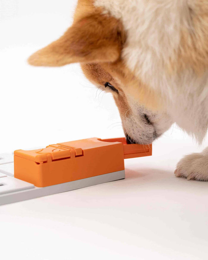 Dog nosing into the orange Pawzler Maya piece mounted on a puzzle base