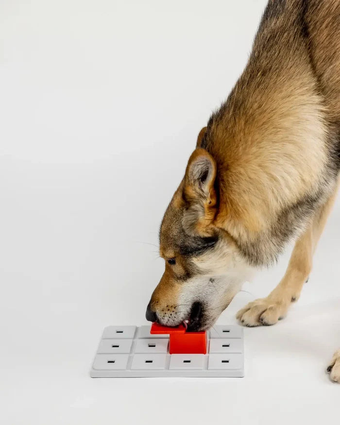 Dog nosing the red Pawzler Peach puzzle piece mounted on a grey base