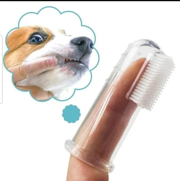 Finger toothbrush held up to a dog's mouth, inset shows it being used on the dog's teeth