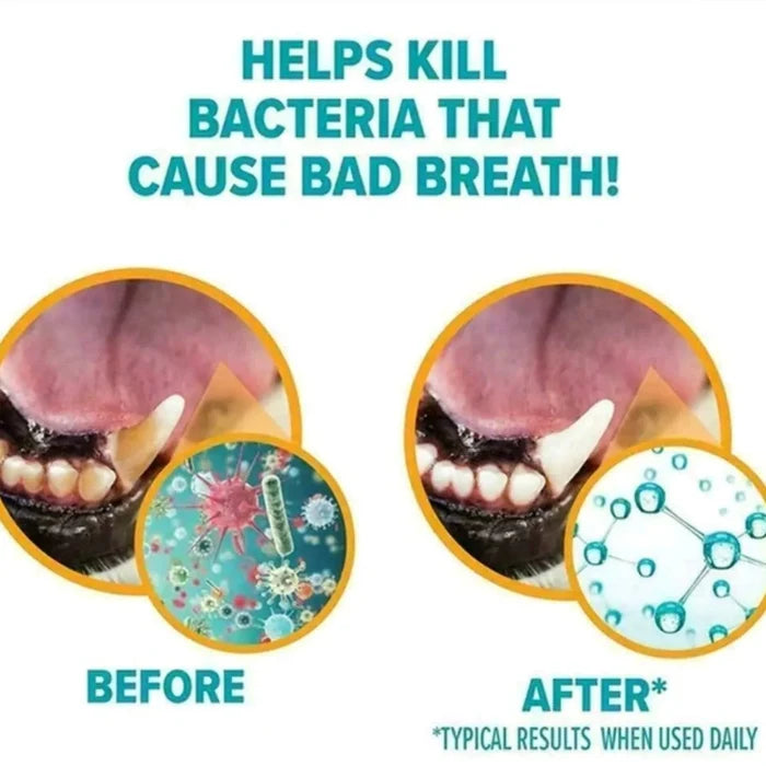 Before and after close-up of a dog's teeth and gums, showing bacteria reduction with Dental Spray