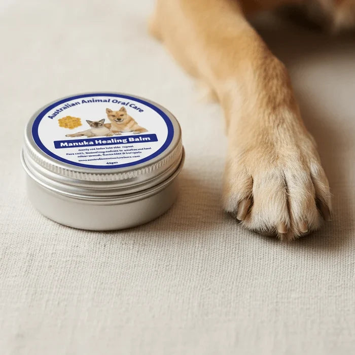 Manuka Healing Balm tin placed beside a dog's paw on a fabric surface