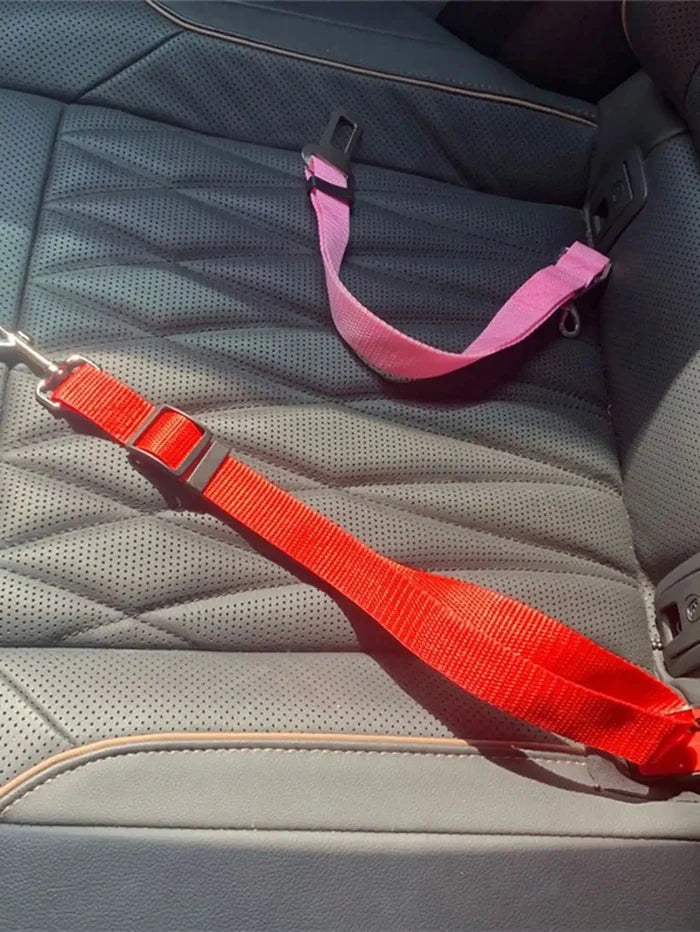 Pet Seat Belt For Dog