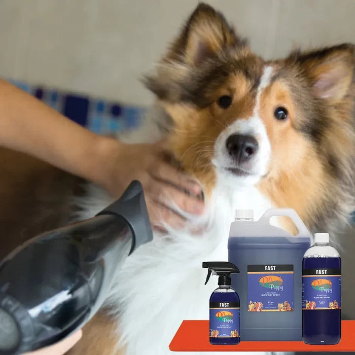 Groomer blow-drying a sheltie beside the Plush Puppy FAST Blow Dry Spray bottle, jug and refill sizes