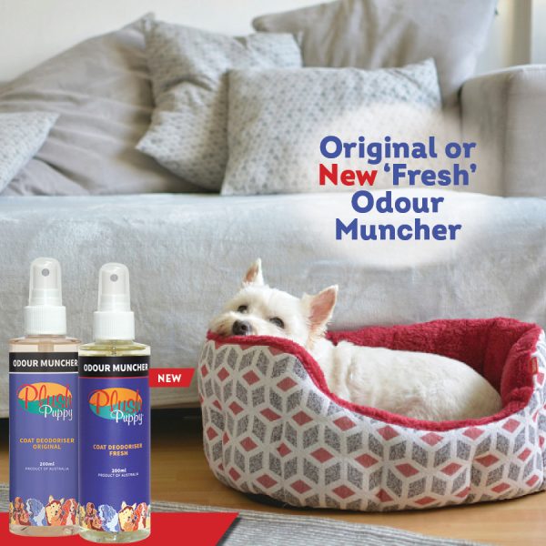 Two Odour Muncher spray bottles on a couch with a white dog resting in a bed nearby