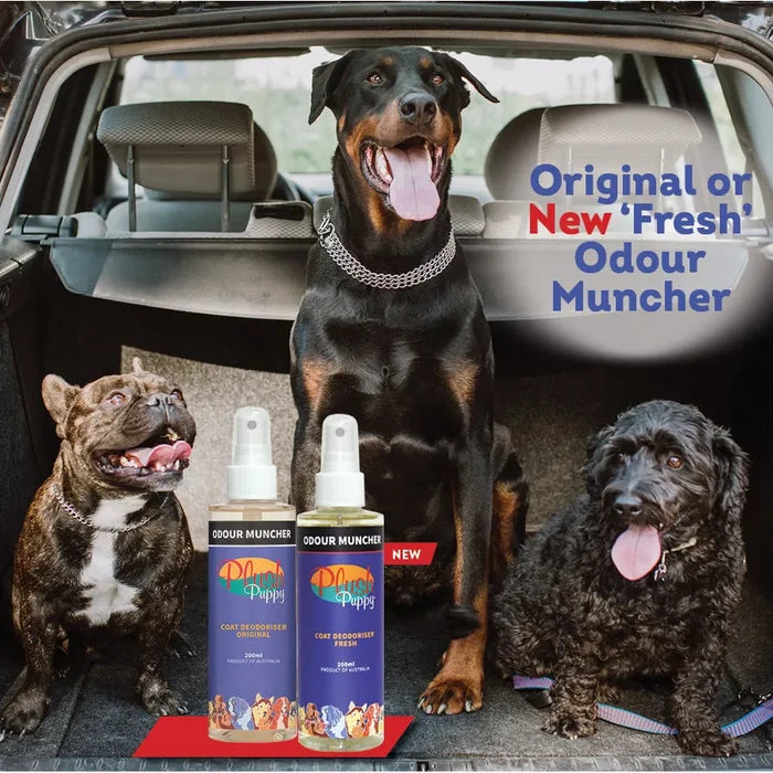 Three dogs in a car boot with two Odour Muncher spray bottles