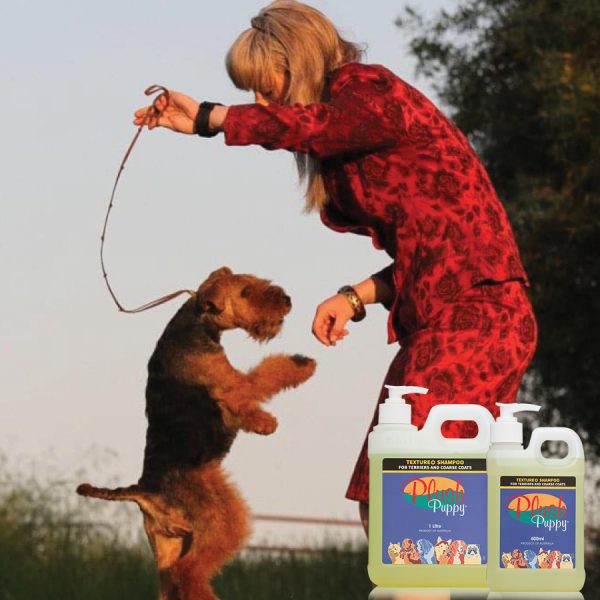 Woman hand-stripping an Airedale Terrier outdoors next to Plush Puppy Texture+ Shampoo bottles