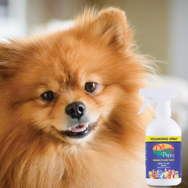 Fluffy Pomeranian beside the Plush Puppy Volumising Spray bottle, 500ml