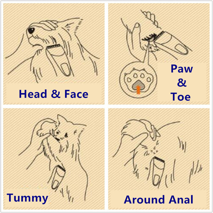 Illustrated diagram showing how to use the Shernbao Pet Trimmer on a dog's head, paws, tummy and around the anal area