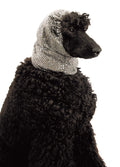 Black poodle wearing a sparkly silver Show Tech Snood Luxe ear cover