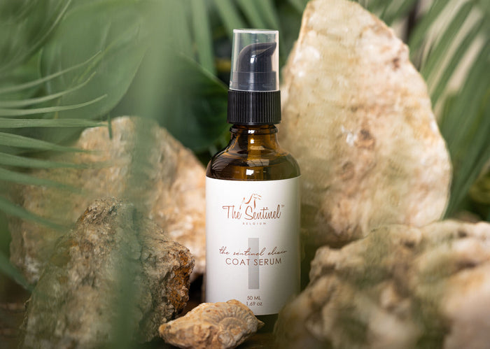 The Sentinel Coat Serum amber pump bottle displayed among rocks and palm leaves