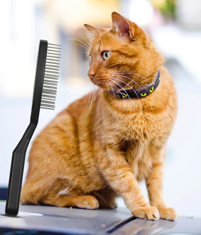 Orange tabby cat beside The Untangler PRO Brush