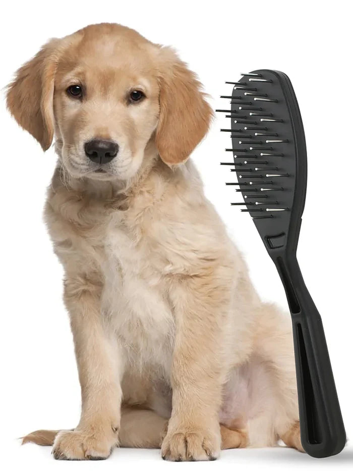 Golden retriever puppy beside The Untangler PRO Brush, black oval brush with pins