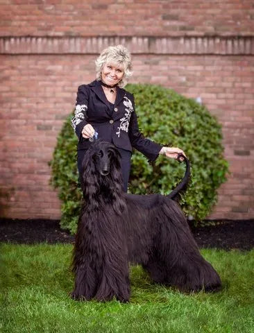 Woman posing with a black Afghan Hound show dog groomed using the Untangler Professional Groomer II Comb