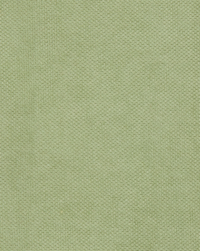 Design 19